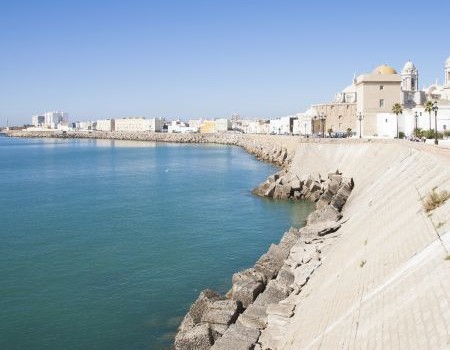 Seawall Repair or Replacement: 7 Signs Your Stuart Seawall Is Failing Thumbnail